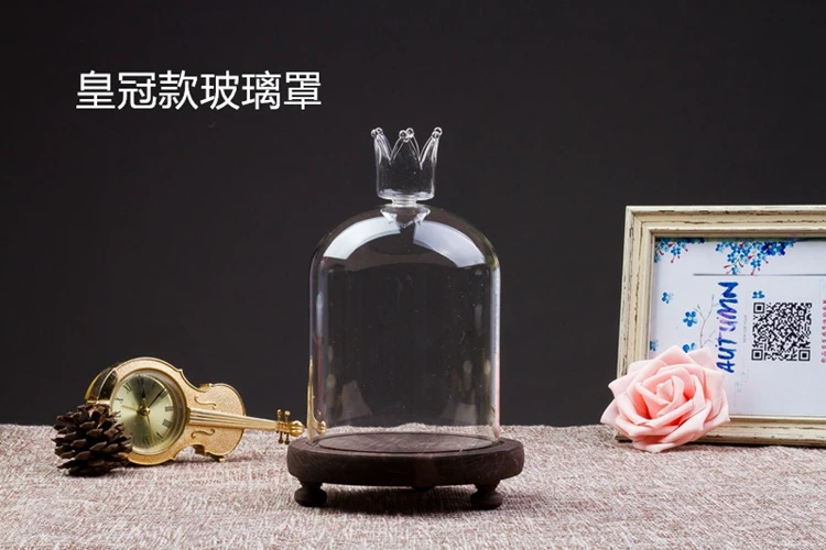 Beauty and the beast glass dome cover with copper string lights / cloche