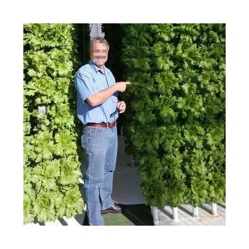 Вертикальная гидропонная аквапонная система NFT для коммерческих сельскохозяйственных теплиц