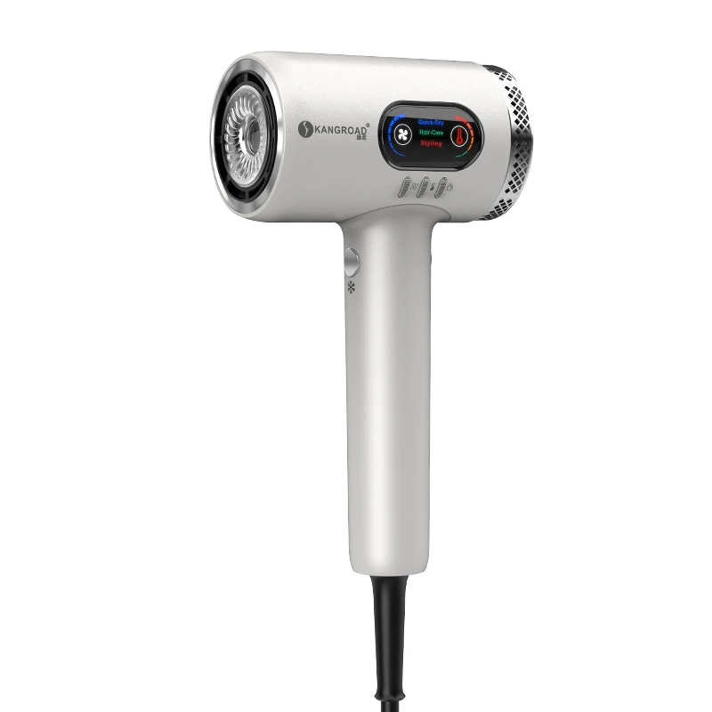 Professional high-speed Hair Dryer with Diffuser and Nozzle Plasma Hair Blow Dryer Adjust Temperature Hair Dryer Private label