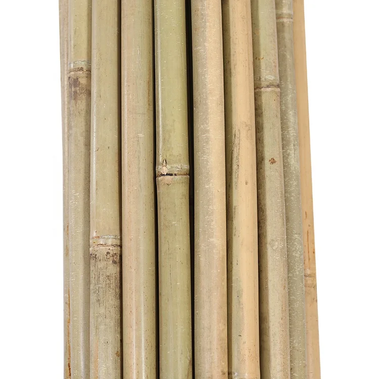 Chinese bamboo cane 300 cm,24-26mm for tree support