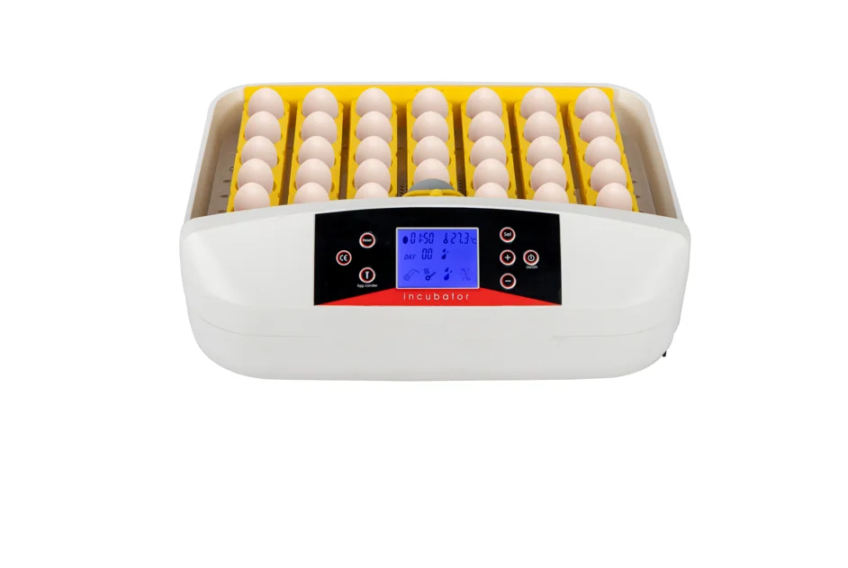 42-Egg Practical Fully Automatic Poultry Incubator with Egg Candler US Standard Yellow & & White & Transparent