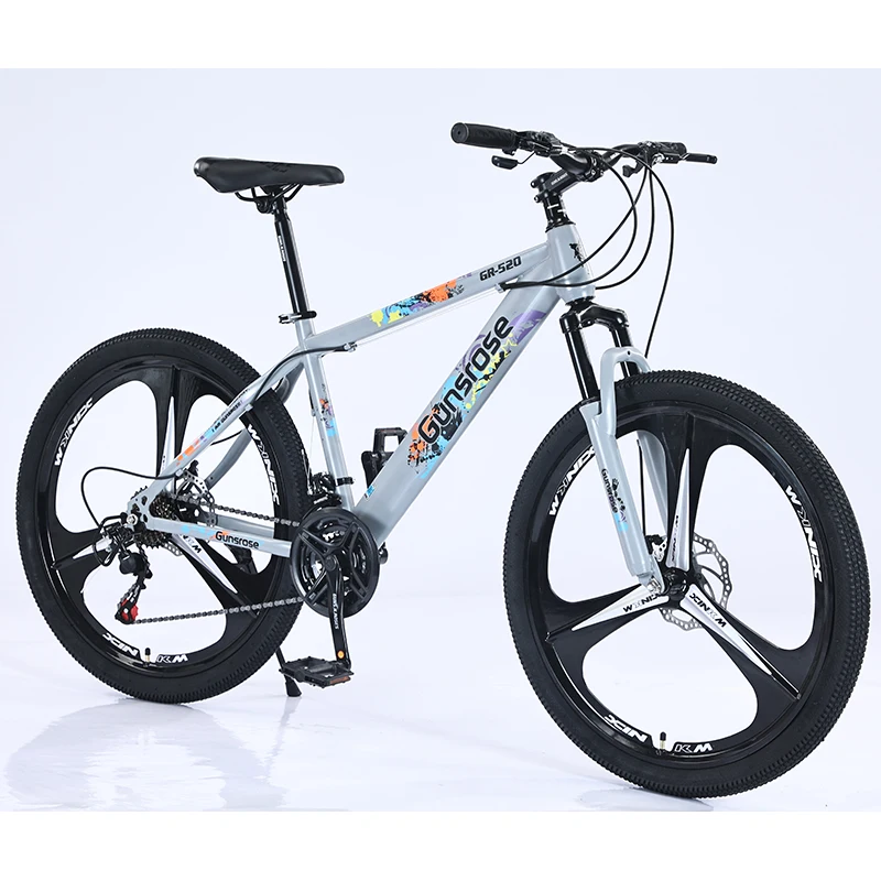 Factory Price 26 Inch 21 Speed High Carbon Steel Fat Tyre Other Mountain Dirty Bike
