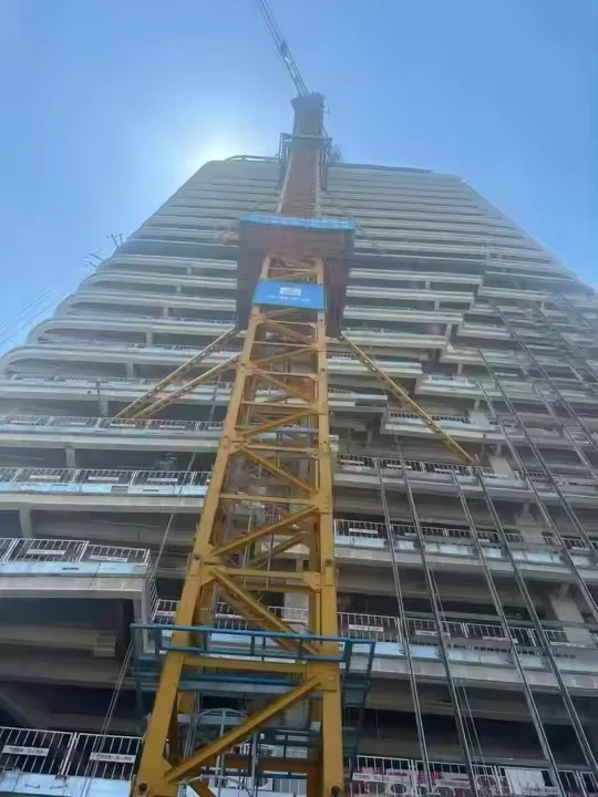 China Brand Tower Crane QTZ230 (6520) 10ton Popular Topkit/hammerhead Electric Construction Tower Crane
