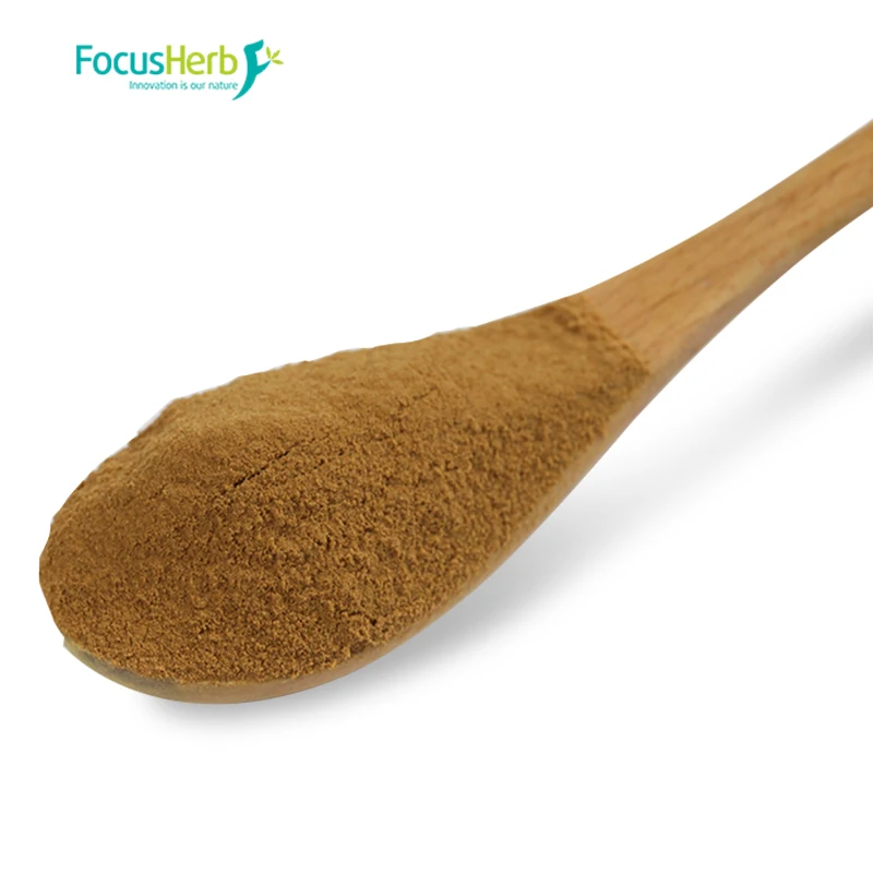 
FocusHerb Astragalus Root Extract Powder Astragaloside IV 
