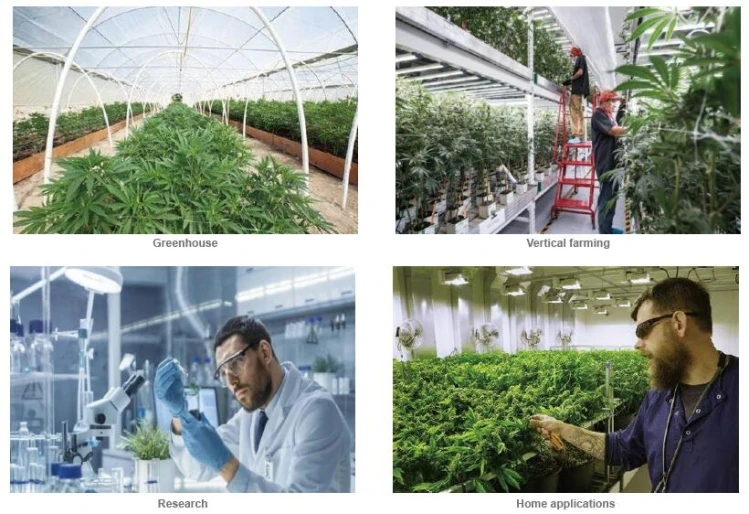 Yaorong led light growing plants Case