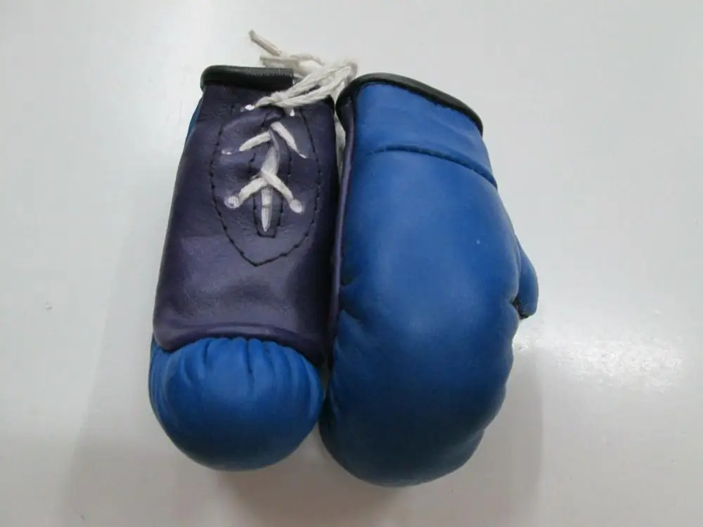 Custom Boxing Gloves Professional PU Boxing Glove for Training