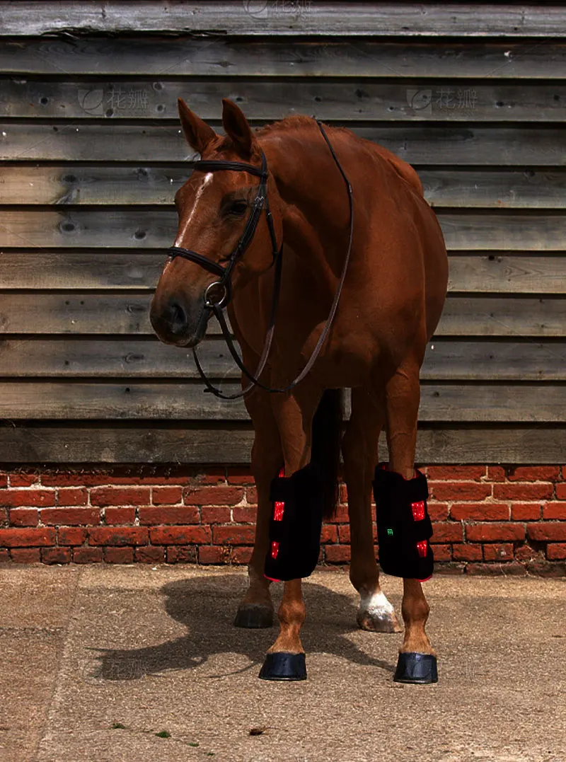 Прямая продажа индивидуализированный чемодан со светодиодным светом для верховой терапии красный свет инфракрасный терапевтические лошади ботинок капюшон Подушечка Для Копыт