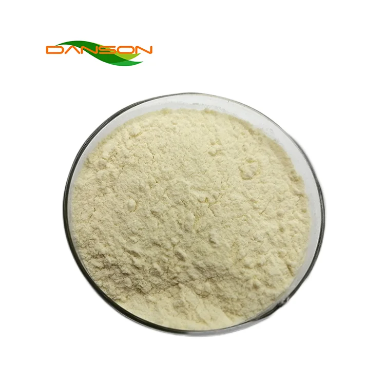 Factory Direct Sales Herbal Extract Food Grade Garlic Extract powder