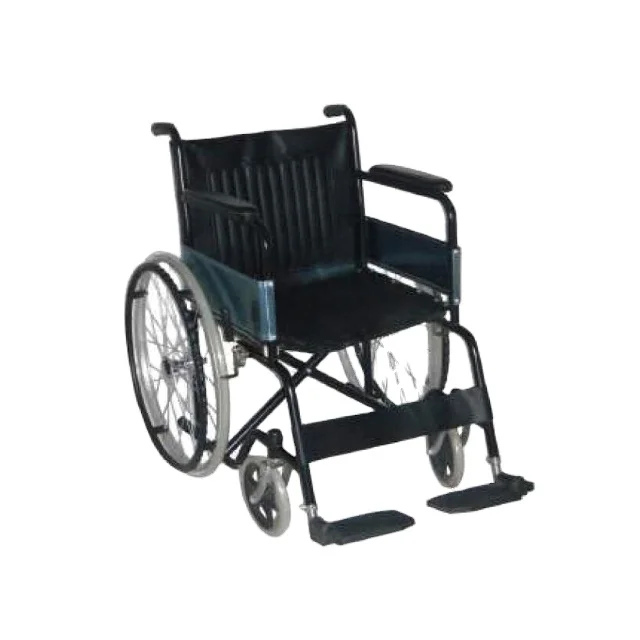 Wheelchair with toilet seat