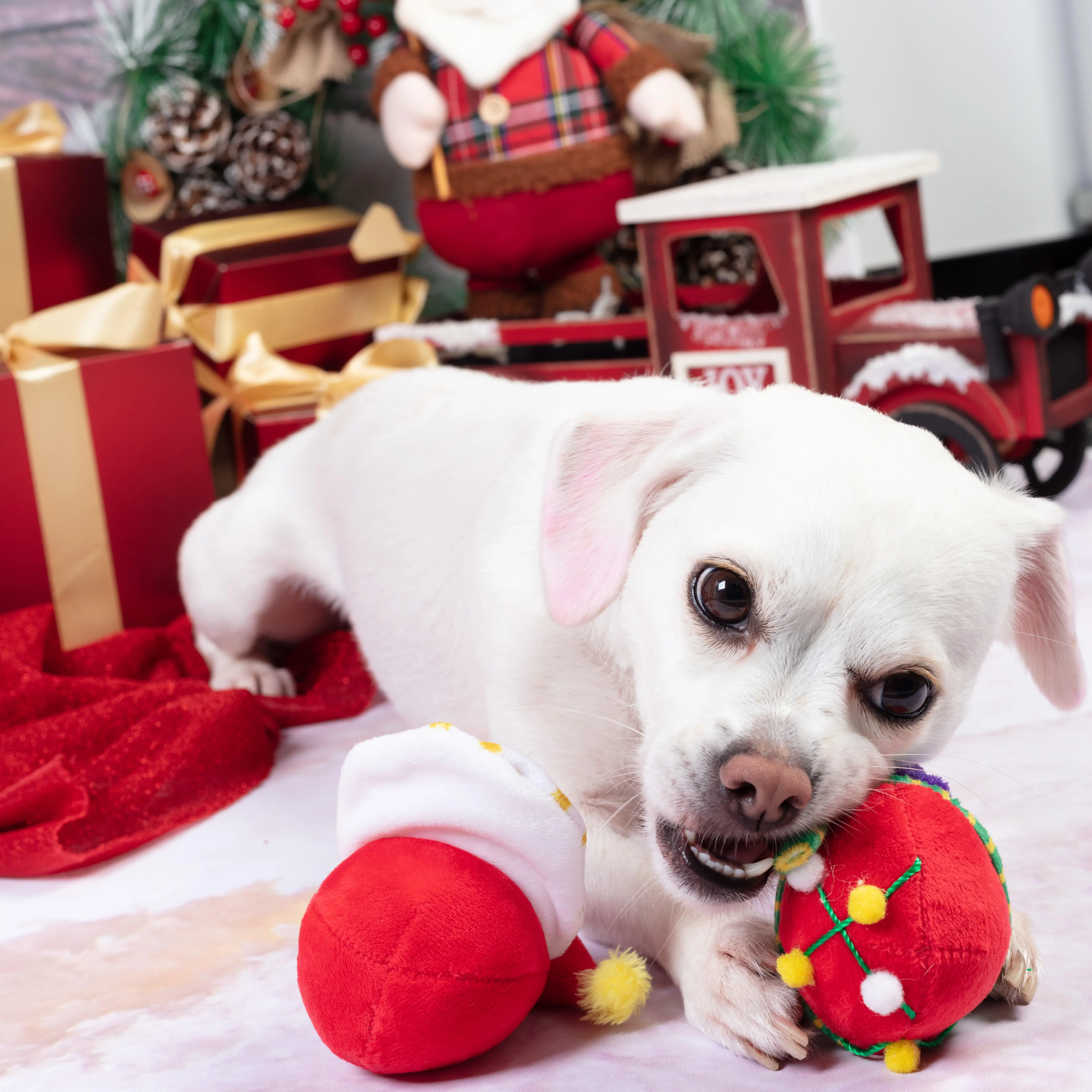 Top Selling Christmas Cute Funny plush Durable pet chewing toy dog squeaky tennis training ball