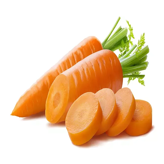 Buy Fresh carrot wholesale at best price