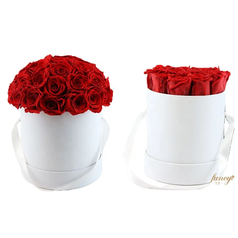 Wholesale Infinity Rose Home Decor Gifts Valentine Preserved Rose Flower Forever Eternal Rose