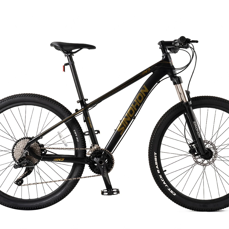 Young man Mountain Bike 22 Speed Cycle Aluminum City Mountain Bicycle with Wholesale Cheap Price