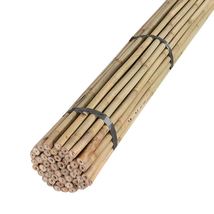 Chinese bamboo cane 300 cm,24-26mm for tree support