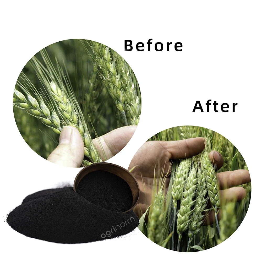 Agriculture supplement nutrition fertilizers organic humic fulvic acid soluble potassium humate granule