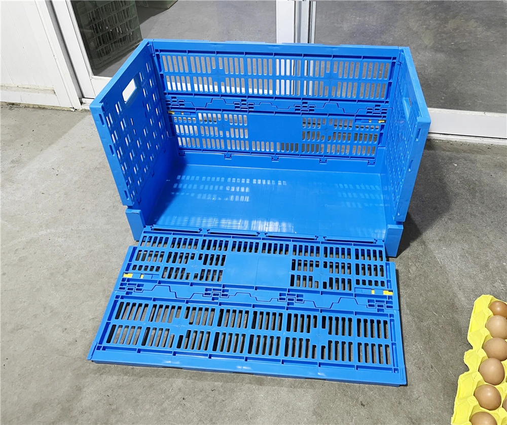 making machine Egg Foldable Mesh plastic crates and egg plastic boxes hold egg tray for decorative