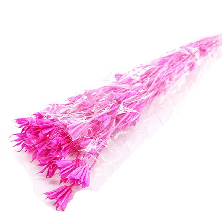 
Украшение для офиса и дома, стойкий сушеный натуральный красочный восьмиугольный цветок с стеблями 