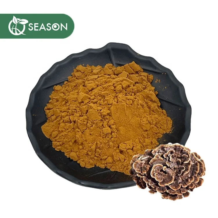Coriolus Versicolor Extract Natural Turkey Tail Extract Make Turkey Tail Capsules