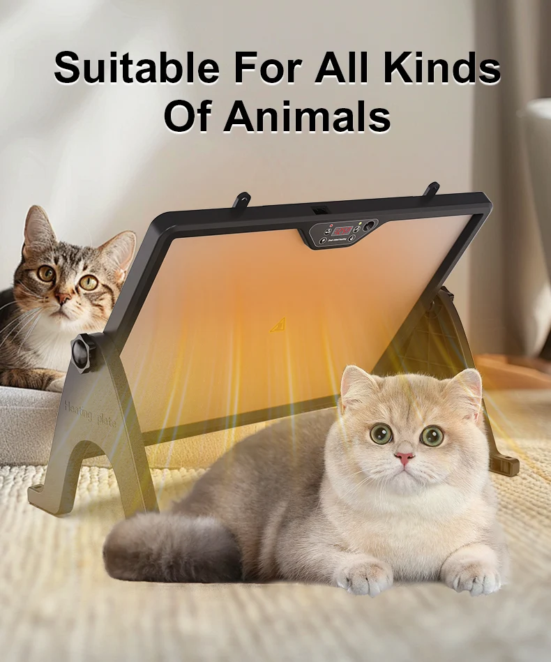 Standard professional heating plate commercial heater chicken and brooder for chickens