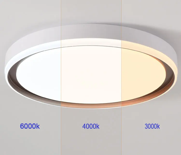 Factory Wholesale SAA CB flush mount decorative indoor European Nordic plafon design slim LED Ceiling lamp for home house