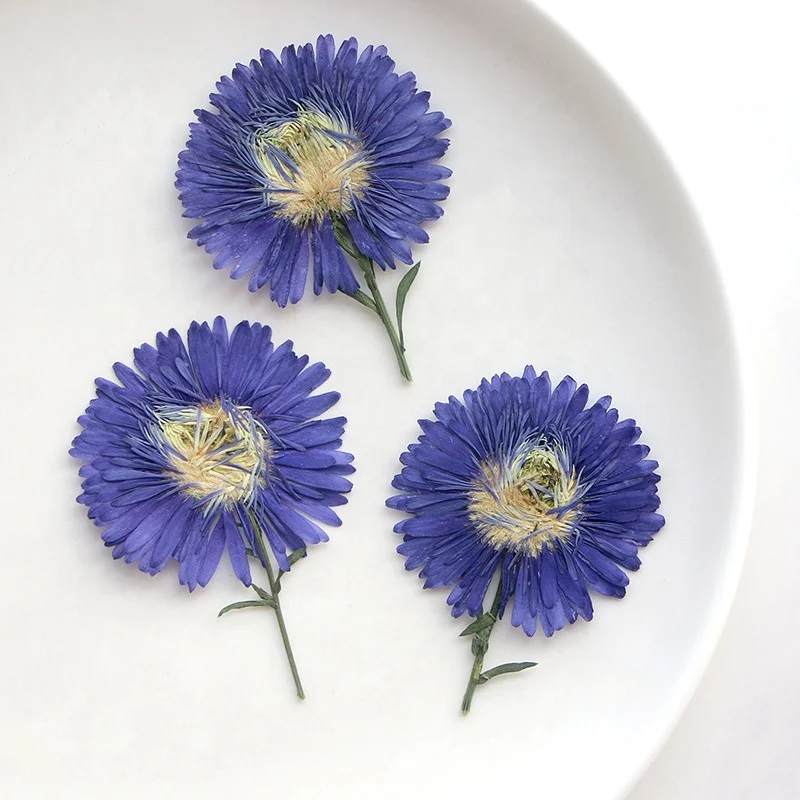 12 шт./упаковка новая яркая/Michaelmas Маргаритка со стеблем для рамки чехол телефона подсвечник из смолы искусство