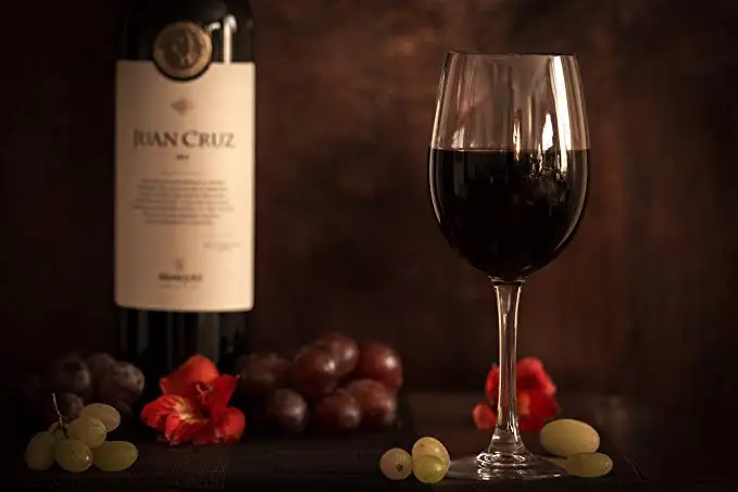 
600ml PETG durable luxury tritan long stemmed plastic wine glass 