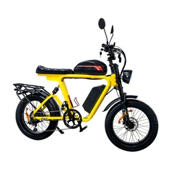 1000W Fat Tire Ebike 48V Electric Bike Dual Motor 7Speed Lithium Battery Electric Bicycle 20 Steel Frame Electric Mountain Bike