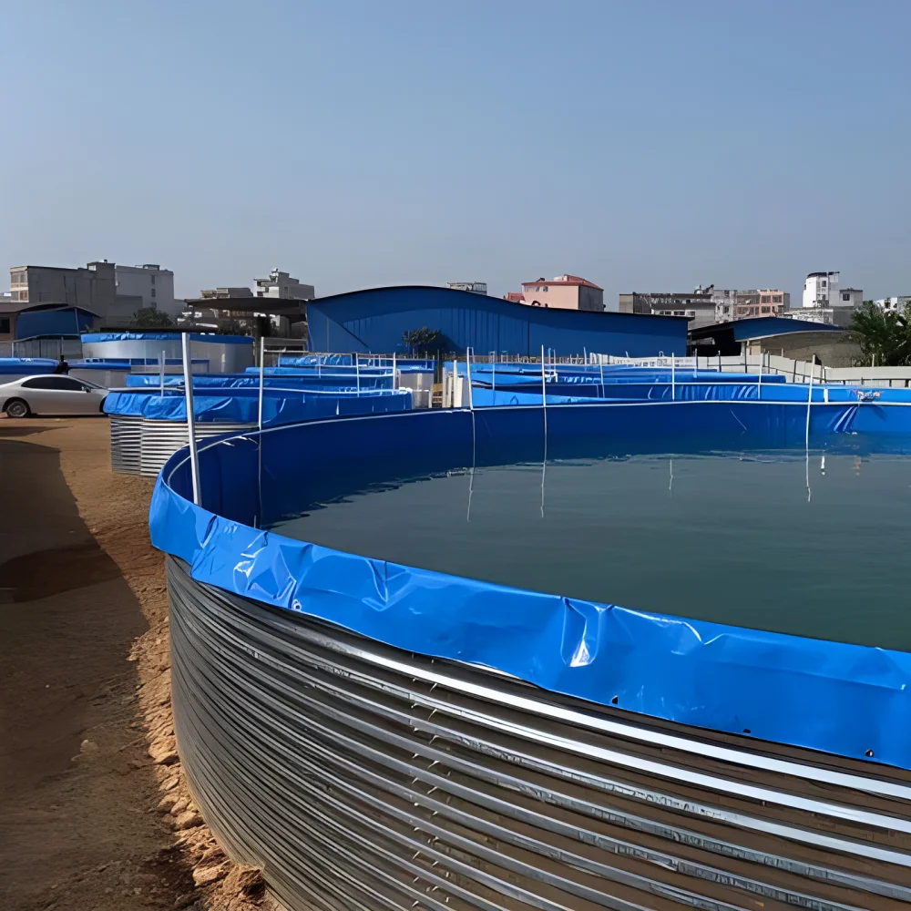 Factory Hot Sale Fish and shrimp RAS Tilapia farming fisheries aquaculture system equipment farming tanks