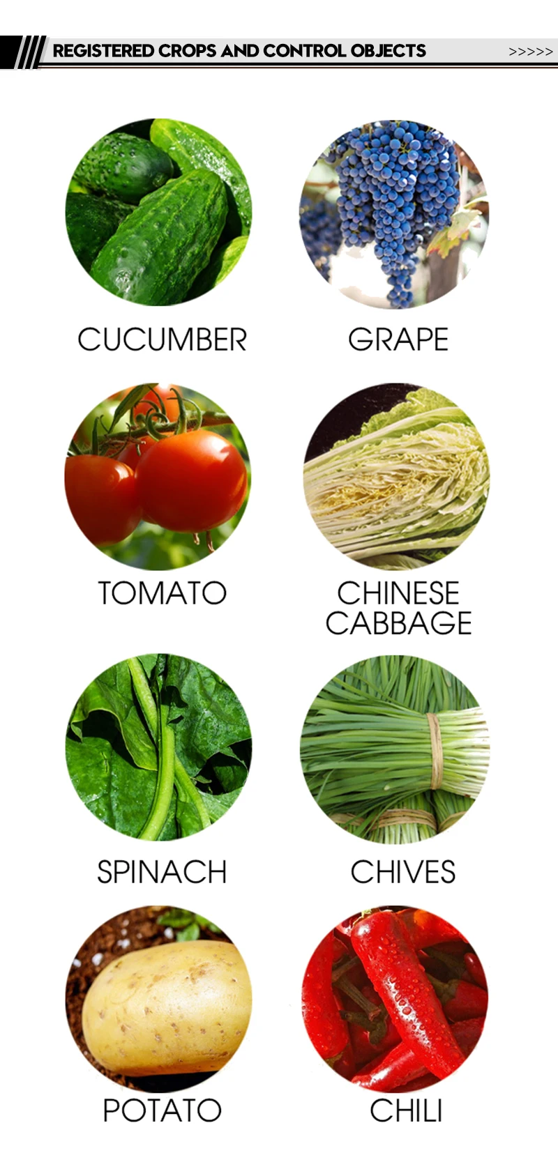 
90% aluminum triethylphosphonate SP late blight downy mildew agricultural pesticide fungicide 