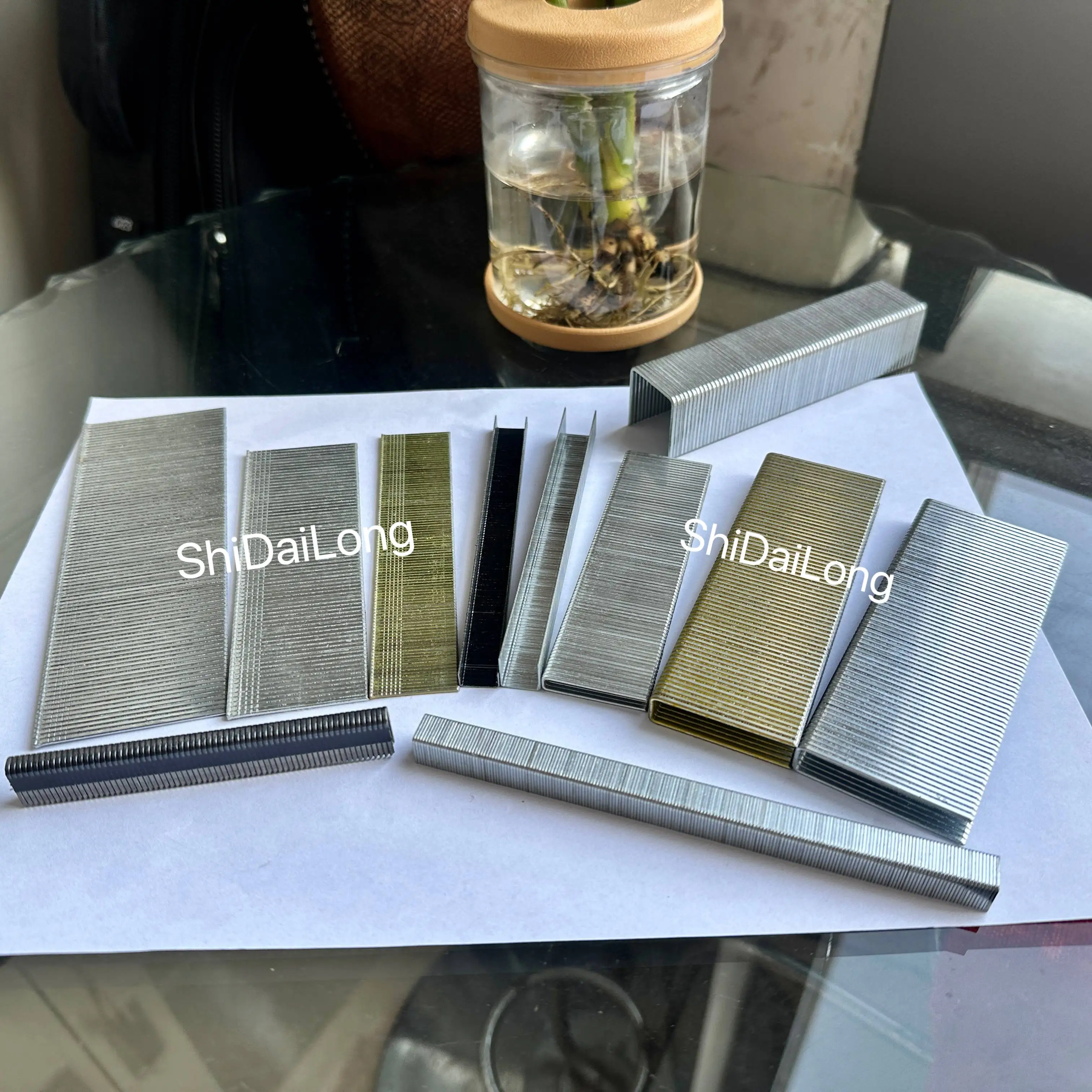 2024-02-29 143818(1).jpg