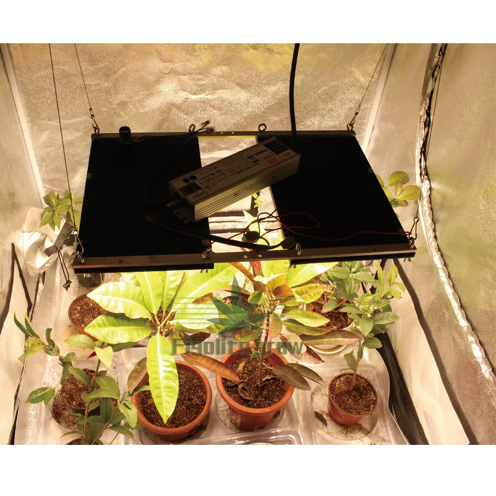 Separate heatsink 240W LM301H V3 board LED Grow Light 3000K 3500K 4000K mix 660nm UV IR MeanWell