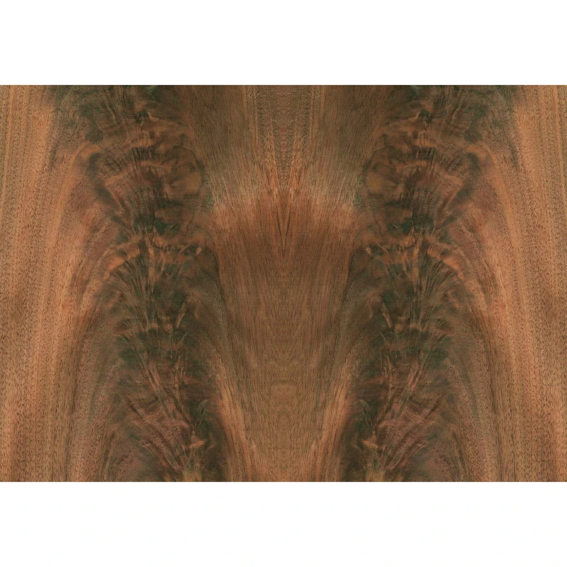 Big Size Black Walnut Crotch Veneer in Stock