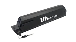 Customized Capacity 48v 1000w electric bike reention dorado plus 48v ebike battery