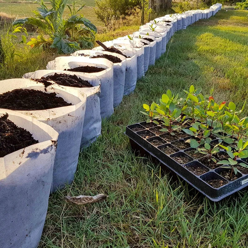 White/Black grow bag Non woven Biodegradable seedling bags seedling pots