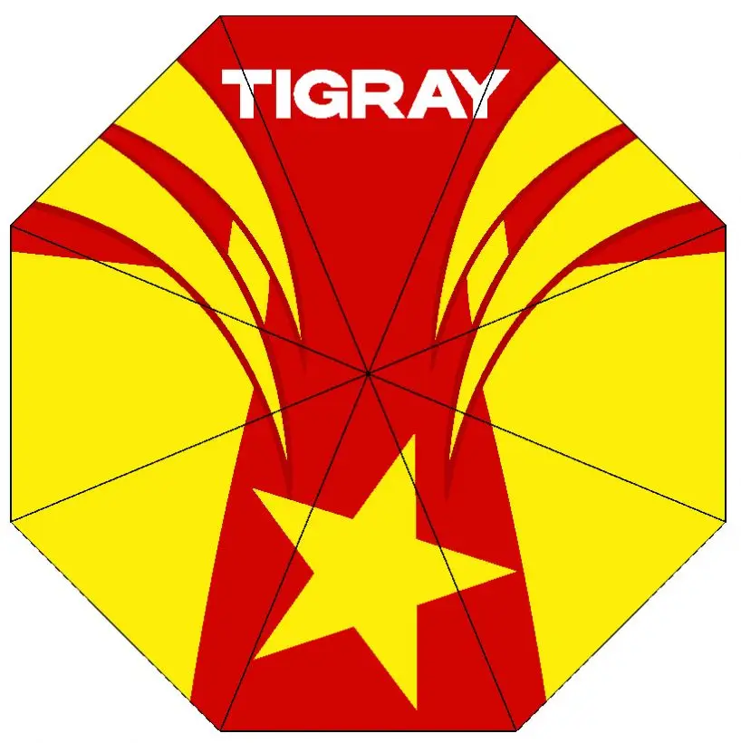 High Quality Custom Printing Folding All Season Fashion Automatic Tigray Flag Umbrella for Outdoor