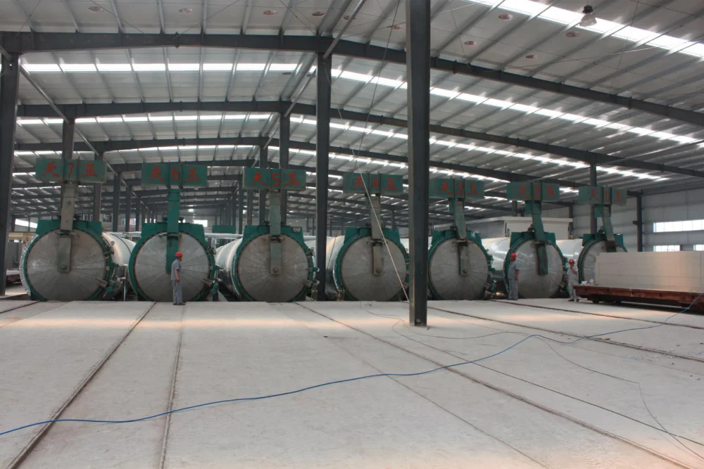 Small Automatic AAC Block Plant Autoclaved Aerated Concrete Block New Condition Engine Pump Motor PLC Bearing Gearbox Gear Mold