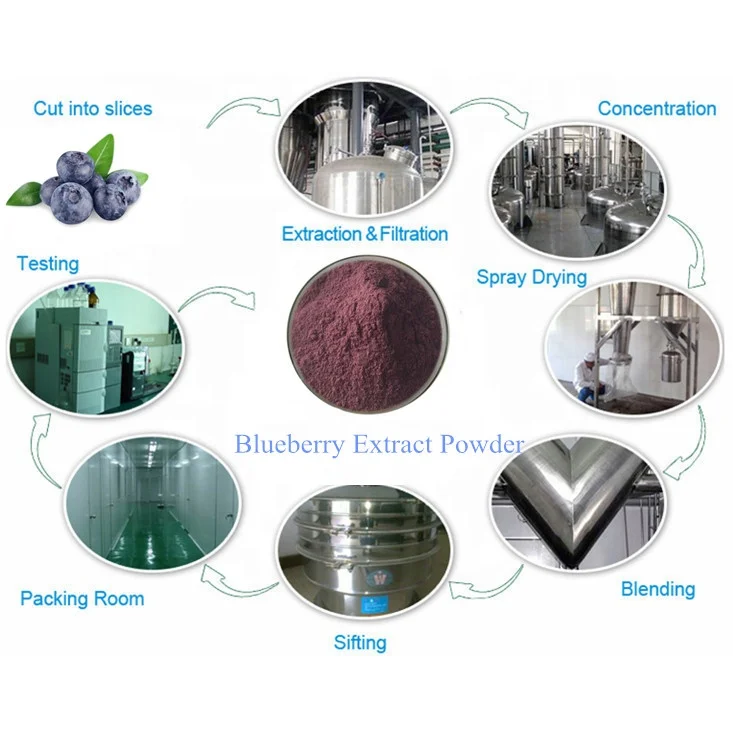 Bulk Pure Blueberry Concentrated Powder with Best Price 1KG Food Supplements