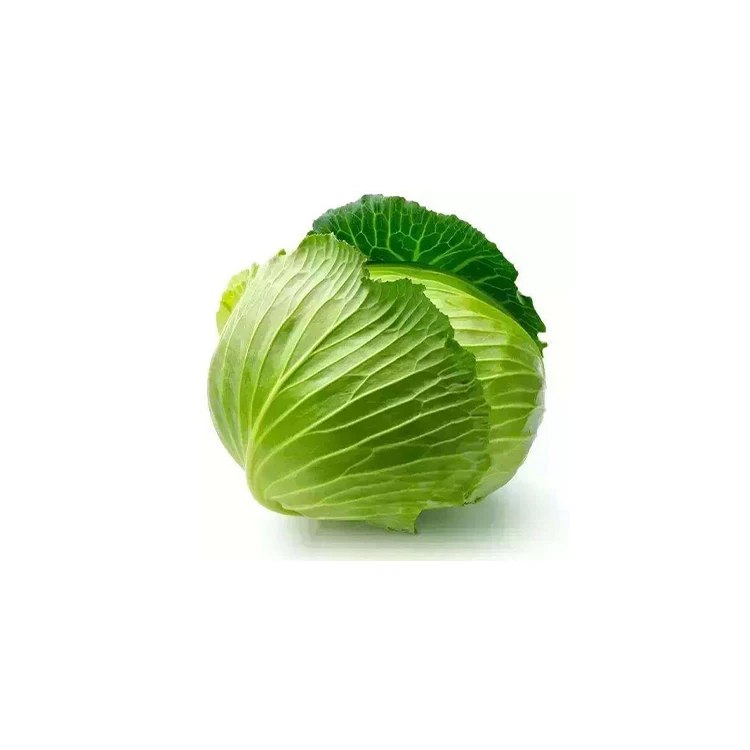 
 Лидер продаж, свежая ферма, чистая натуральная и экологически чистая Зеленая капуста  
