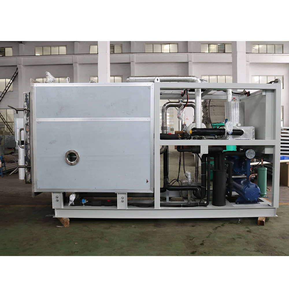 Industrial lyophilizer  freeze drying machine 100kg  commercial cheap freeze dryer for food