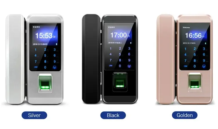 Anchor Frameless Glass Door Biometric Fingerprint Rfid Card Password Home Office Remote Control Electronic Lock