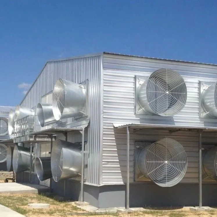 Prefab легкая стальная конструкция Бройлер куриный дом