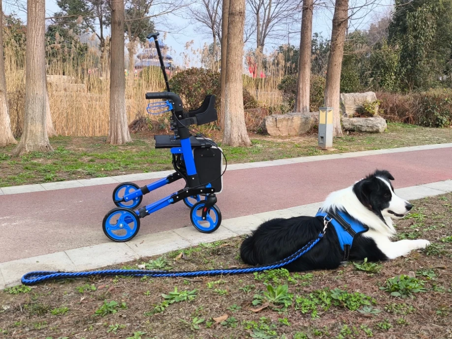 Wholesale 4 wheels Folding Adult Rollator Walker for Disabled