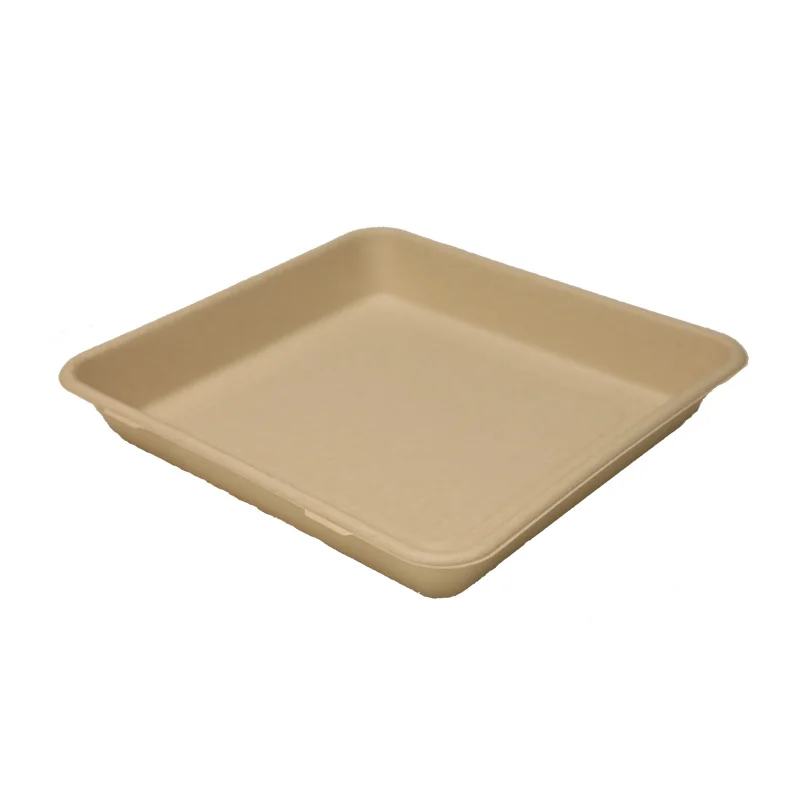 Food Grade 100% Biodegradable Bamboo Pulp Containers Disposable Trays With