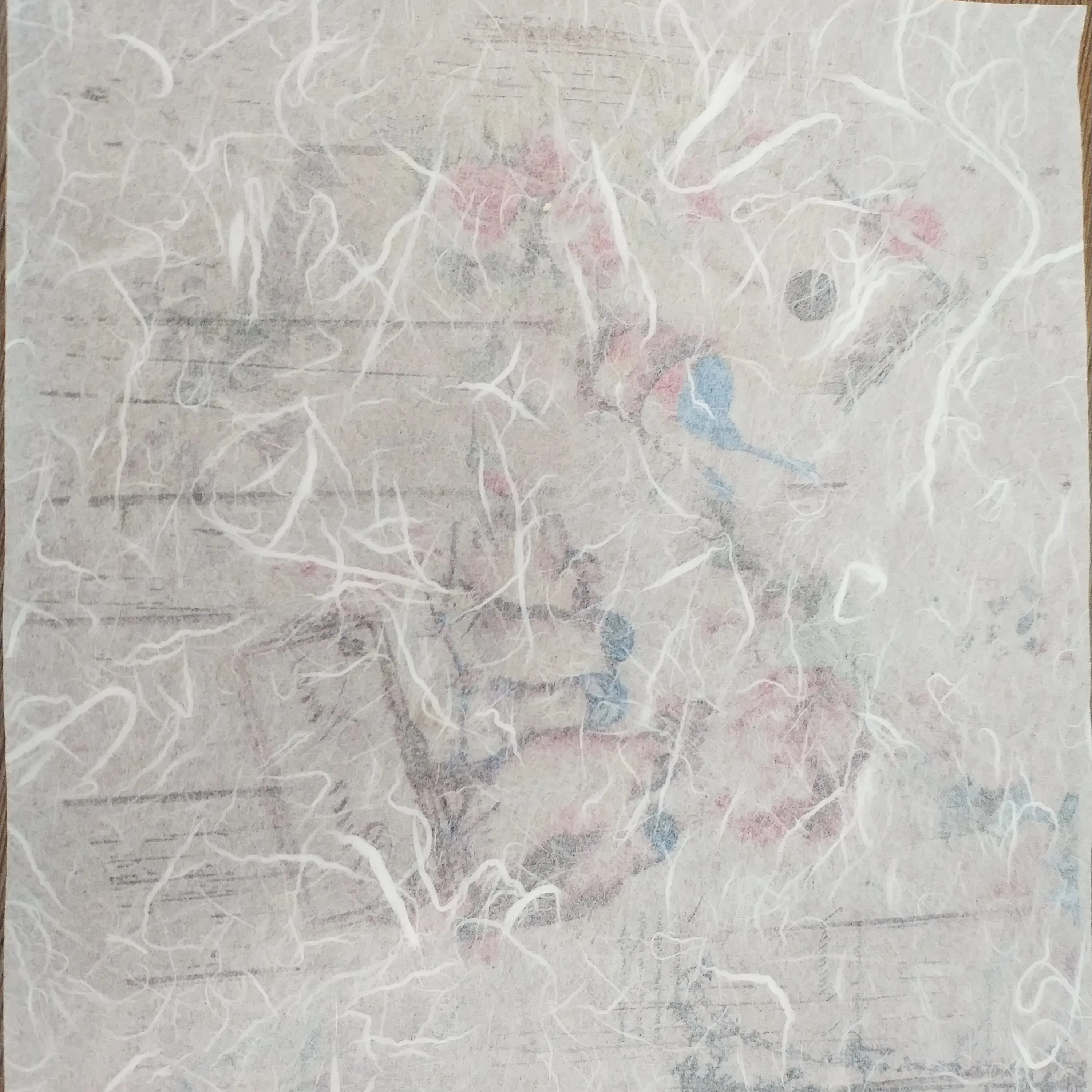 back side csp-039-1.jpg