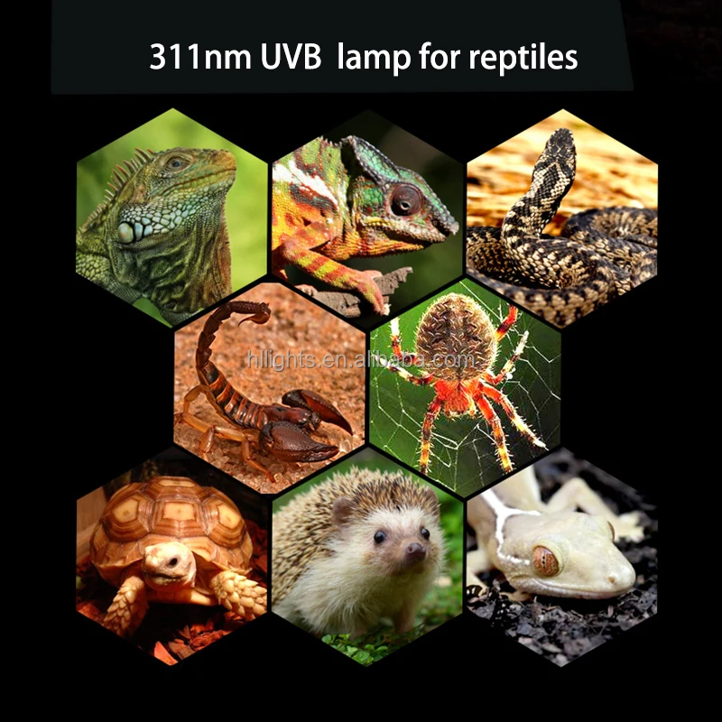 reptile uv uvb lamp 311nm UVB bulbs 13W energy saving light for turtle snake chameleon