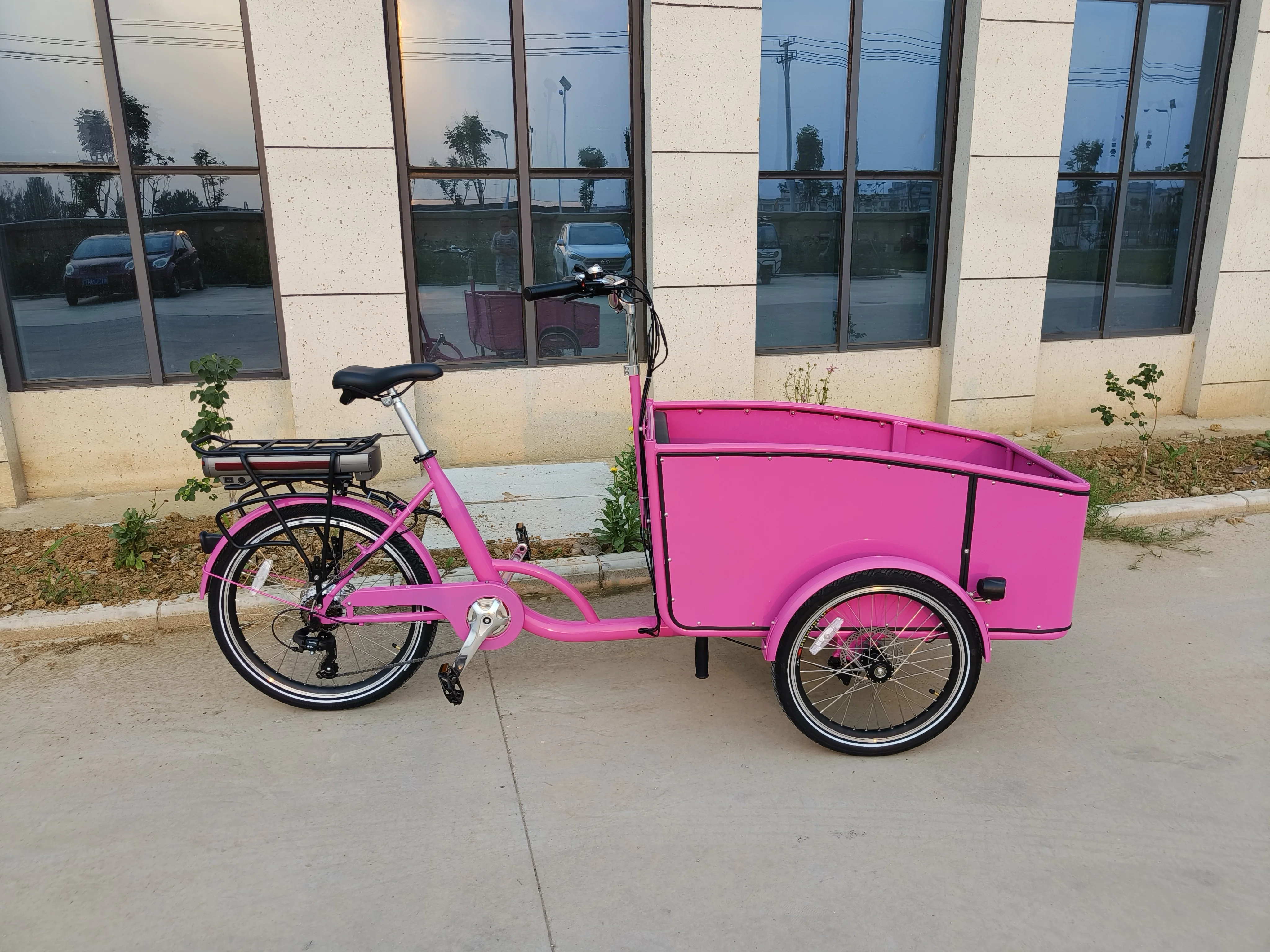 3 Wheel Family Use Cargo Bike Electric  New Style 250W Front Loading Cargo e bike Bicycle