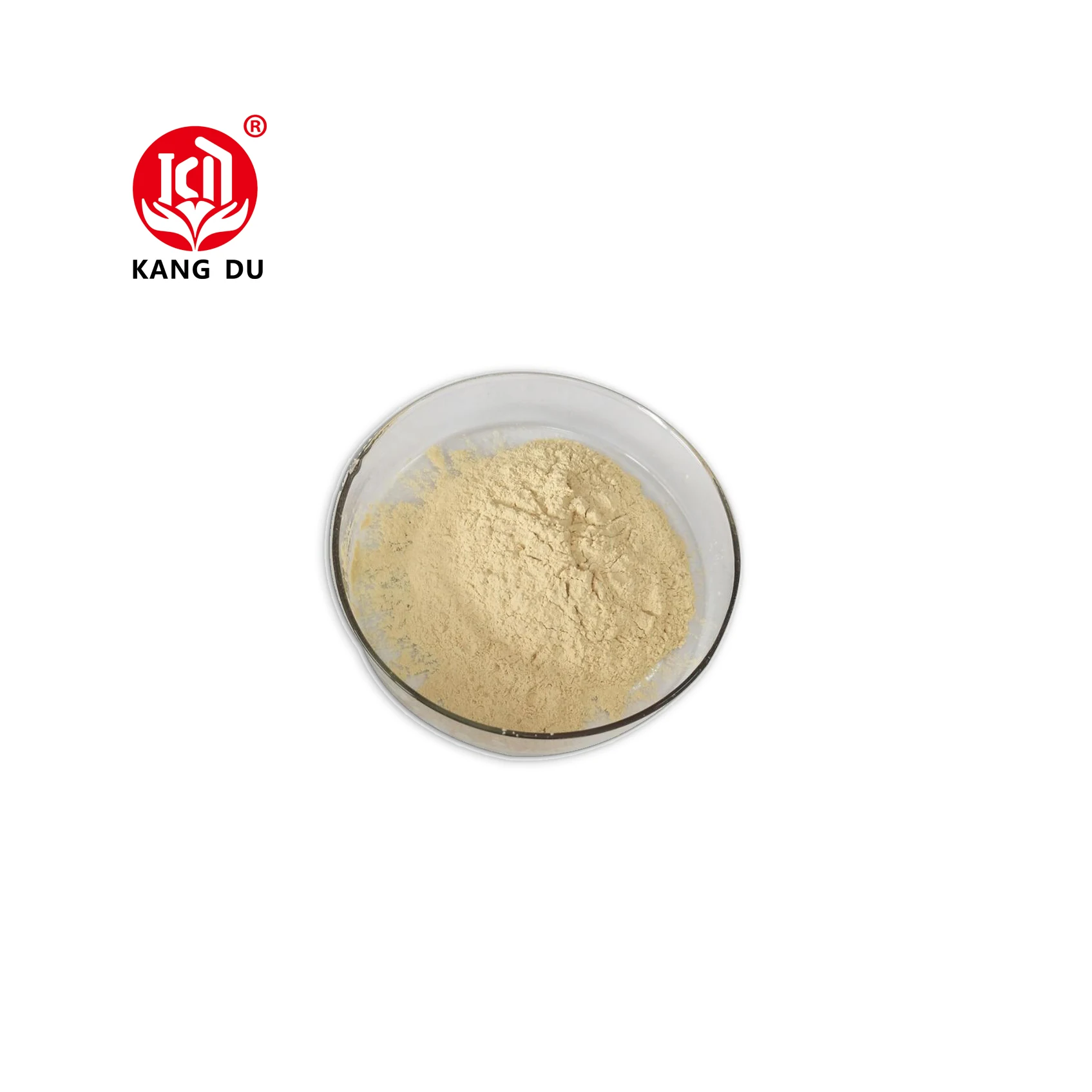 Natural Plant Powder Cantaloupe Powder Custom Fruit Honeydew Melon Powder