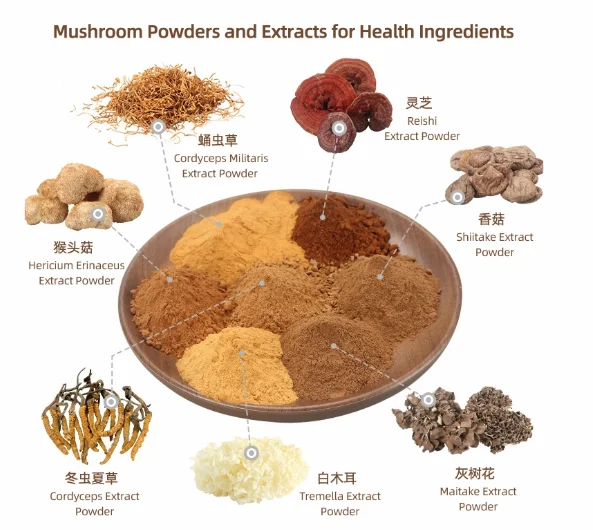 Nutritious and Delicious Lingzhi Ganoderma Lucidum Spore Extract Reishi Mushroom Powder with Polysaccharides Food Grade 24months
