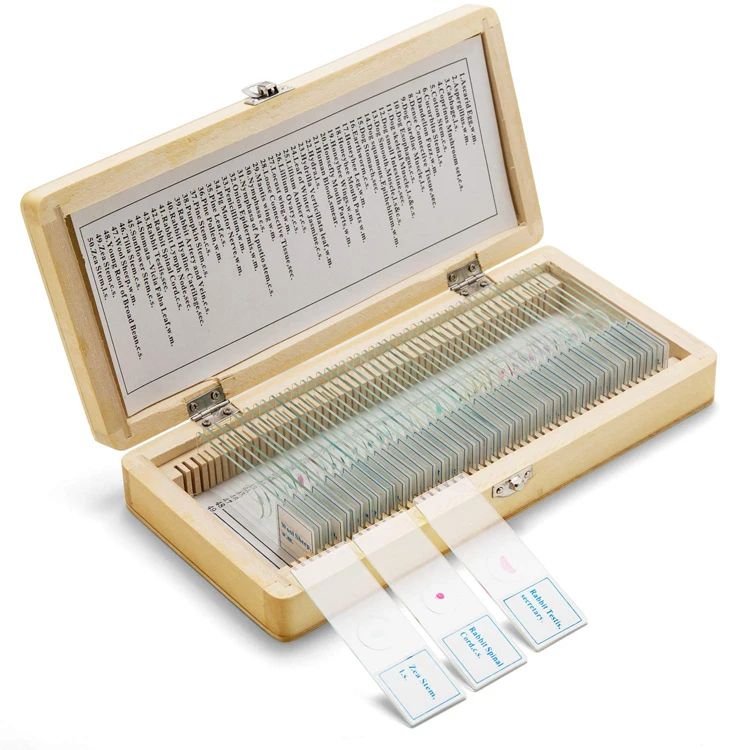 Medical Science Prepared Biology Slides Botany Microscope Slides