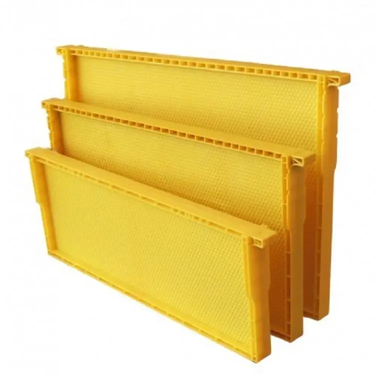 Beekeeping Equipment Plastic Bee Hive Frames Beekeeping Tools High Quality Bee Frames with Foundation
